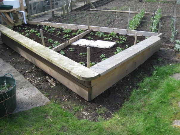 raised bed in southampton